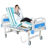 Giường bệnh nhân điện 2 chức năng có bô vệ sinh TJM-GD02B