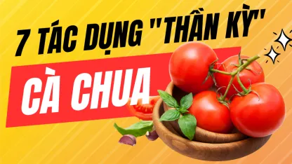 7 TÁC DỤNG "THẦN KỲ" CỦA CÀ CHUA CHO SỨC KHỎE – BÍ QUYẾT SỐNG KHỎE CÙNG ĐỨC PHƯƠNG MEDICAL